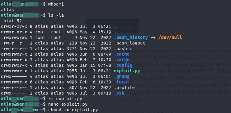 exploit.py output with session number