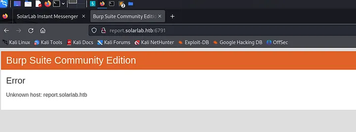 Burp showing unknown host error before adding to hosts